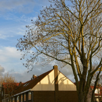 Herzogstraat | Elly Verkerk